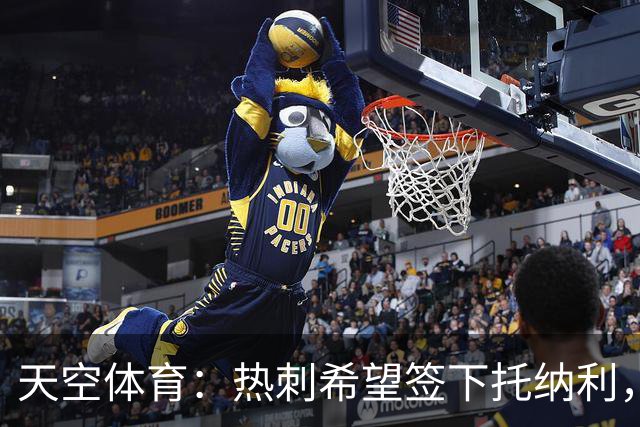 天空体育：热刺希望签下托纳利，他是德泽尔比的头号目标